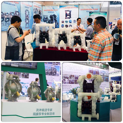 1 Inch Stainless Steel Electric Diaphragm Pump for Acid Chemical Liquids with 3.5m³/h Flow Rate and 1 Year Warranty