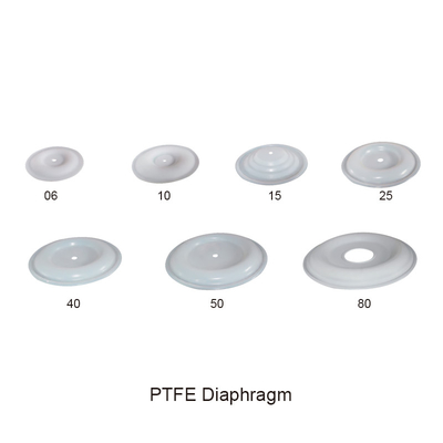 Воздух диафрагмы PTFE привелся в действие двойные части насоса диафрагмы